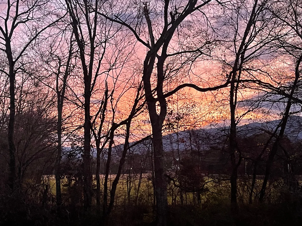 A breathtaking scene of silhouetted trees against a colorful sunset sky with distant mountains. The atmosphere feels serene and invites relaxation, perfect for capturing peaceful evenings and outdoor gatherings.