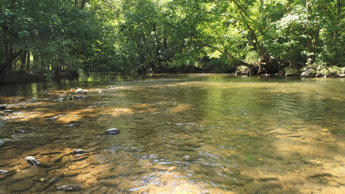 A peaceful stretch of creek lined with overhanging trees and a pebbled riverbed. The calm water reflects the greenery and hints at the serenity and privacy of direct creekfront access. The natural setting appears perfect for fishing, relaxing by the water, or launching a float.